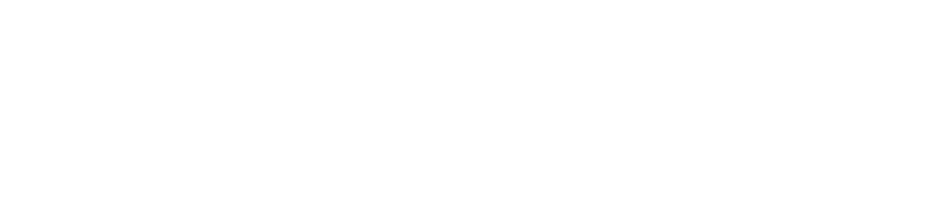 IEDNEX